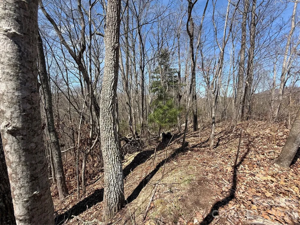 000 Granny Shepherd Road #Lot 2 Mars Hill, NC 28754