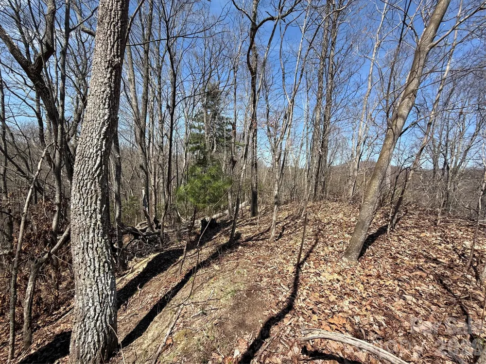 000 Granny Shepherd Road #Lot 2 Mars Hill, NC 28754