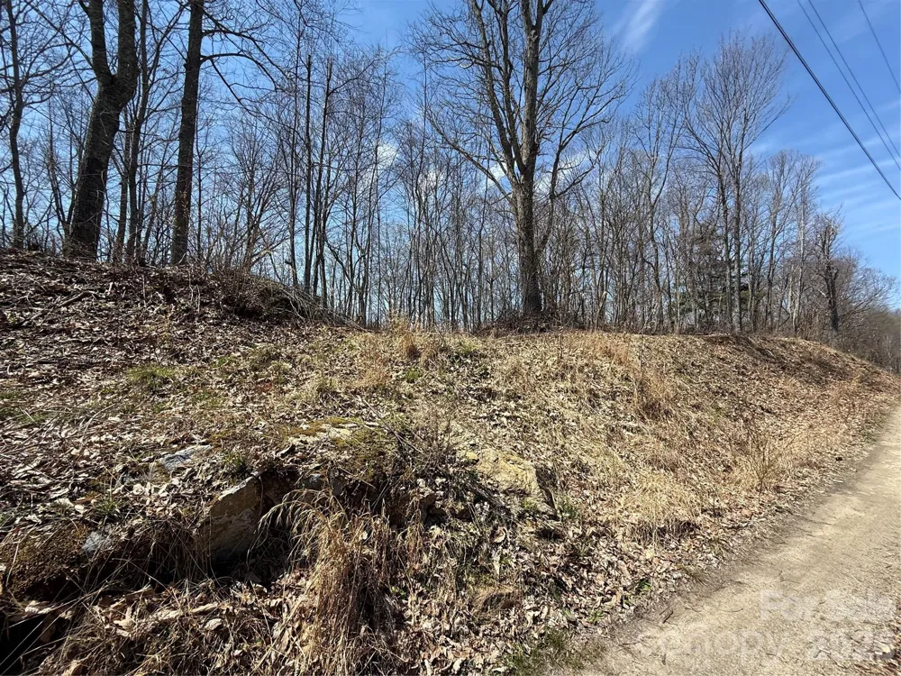 000 Granny Shepherd Road #Lot 2 Mars Hill, NC 28754