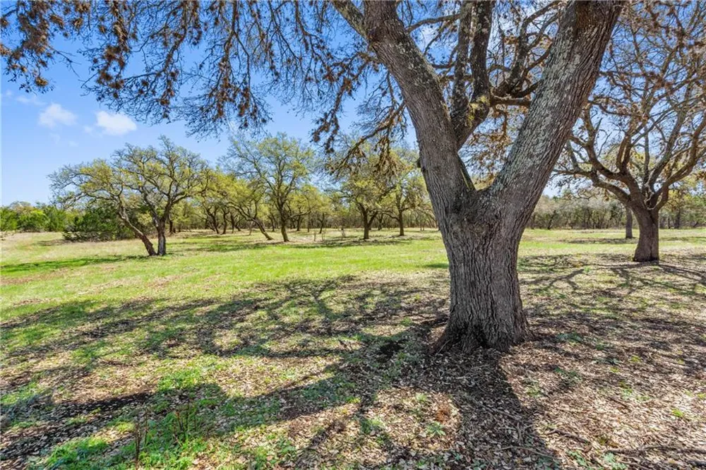 118 E Crestview Drive Johnson City, TX 78636
