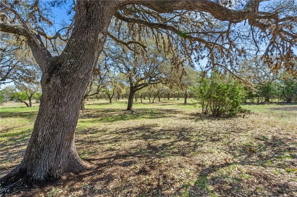 118 E Crestview Drive Johnson City, TX 78636