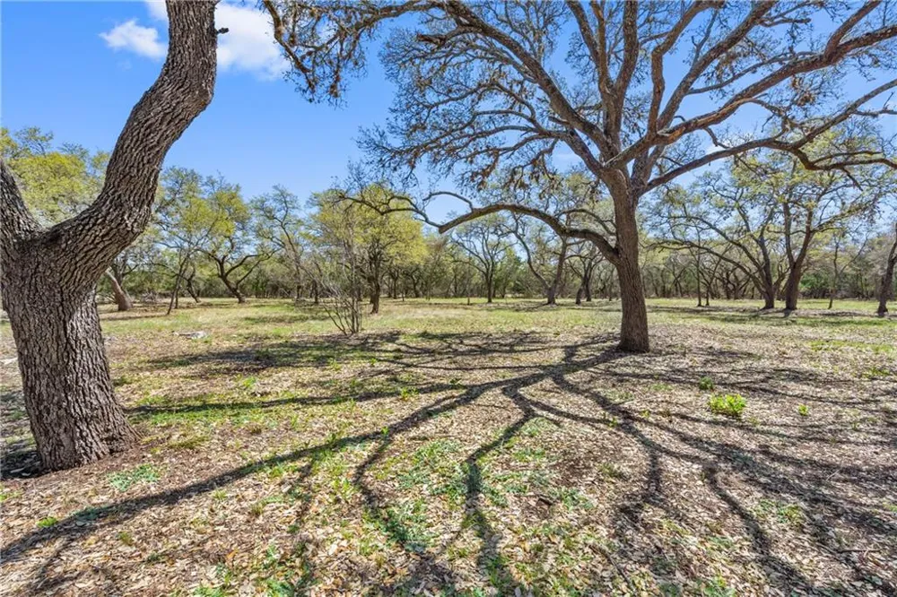 118 E Crestview Drive Johnson City, TX 78636