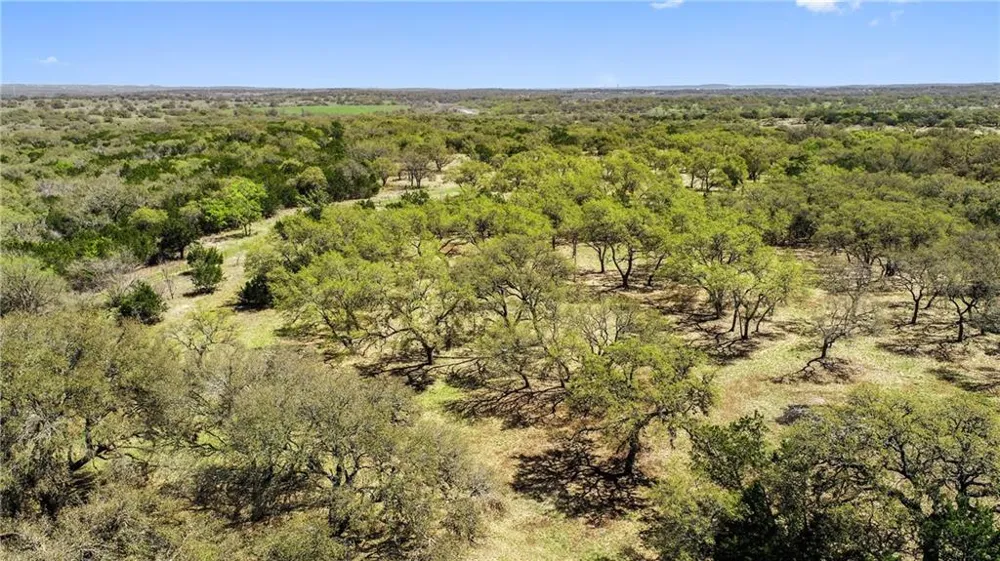 118 E Crestview Drive Johnson City, TX 78636