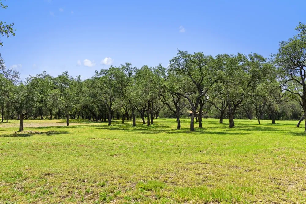 118 E Crestview Drive Johnson City, TX 78636