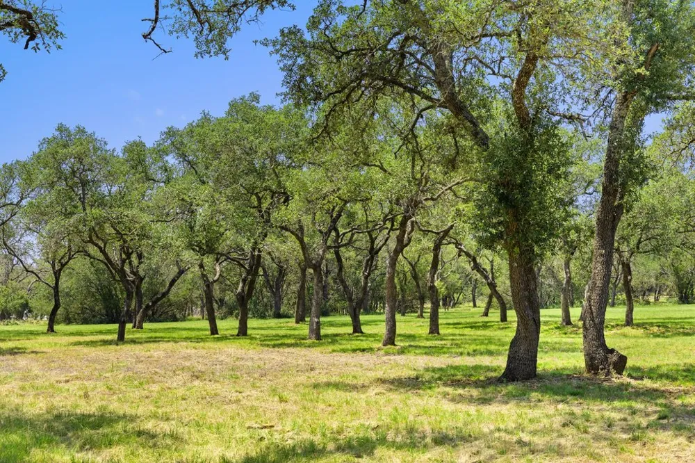 118 E Crestview Drive Johnson City, TX 78636