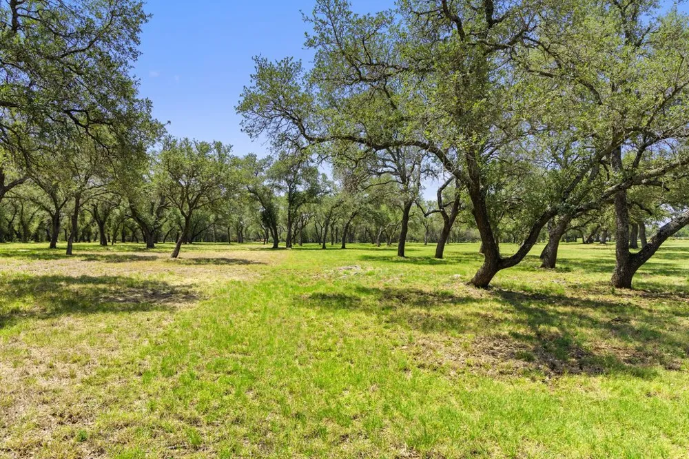 118 E Crestview Drive Johnson City, TX 78636