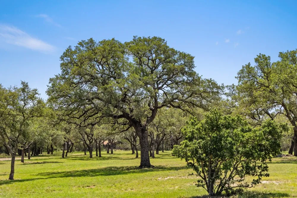 118 E Crestview Drive Johnson City, TX 78636