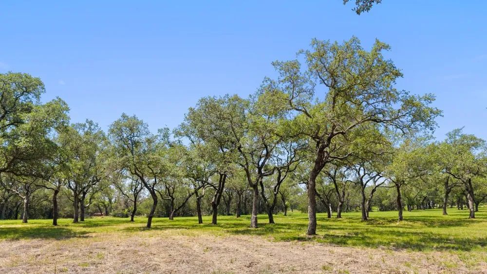 118 E Crestview Drive Johnson City, TX 78636