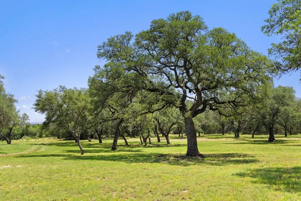 118 E Crestview Drive Johnson City, TX 78636