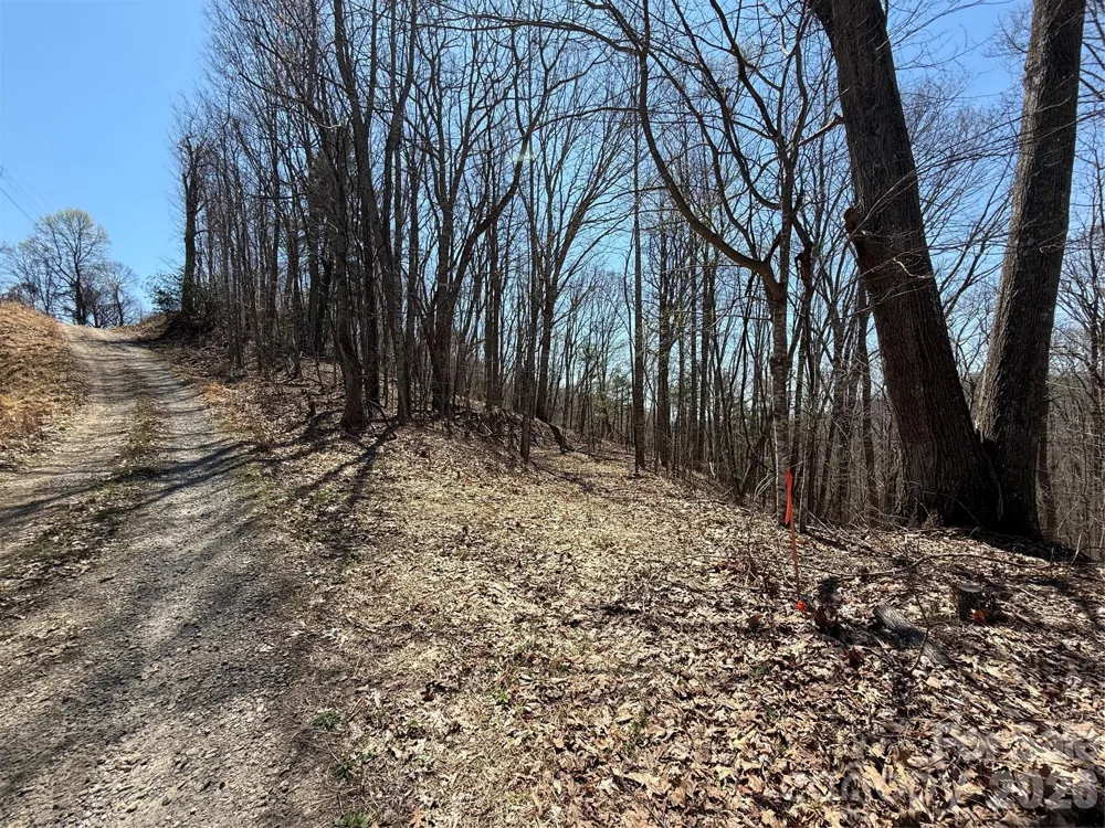 000 Granny Shepherd Road #Lot 3 Mars Hill, NC 28754