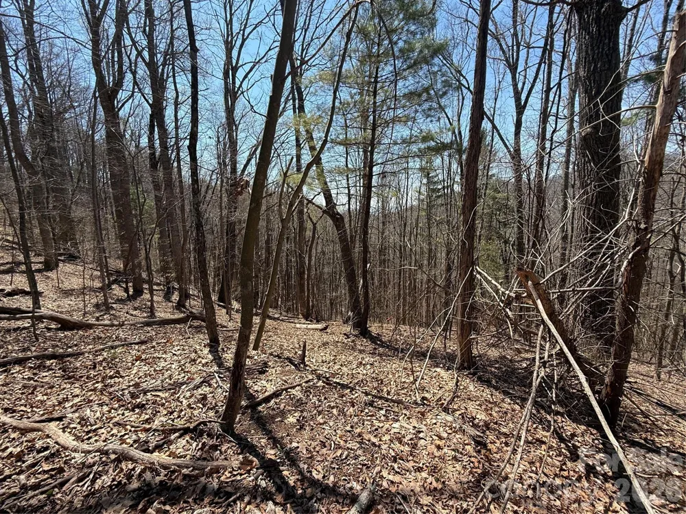 000 Granny Shepherd Road #Lot 3 Mars Hill, NC 28754
