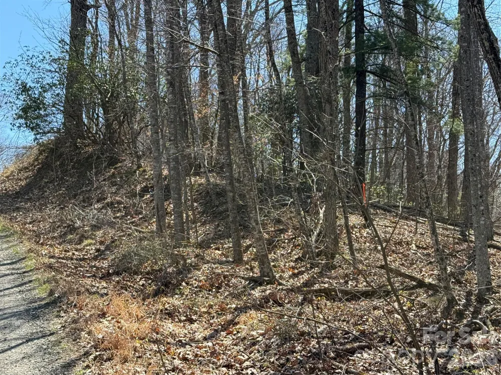 000 Granny Shepherd Road #Lot 3 Mars Hill, NC 28754