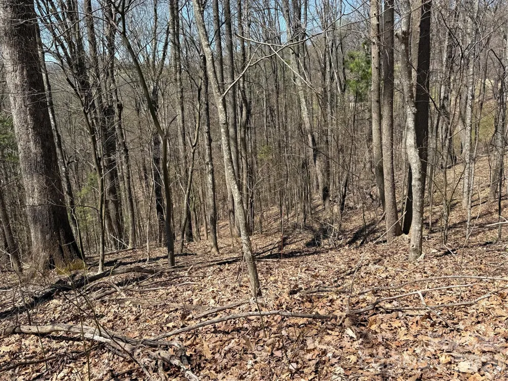 000 Granny Shepherd Road #Lot 3 Mars Hill, NC 28754
