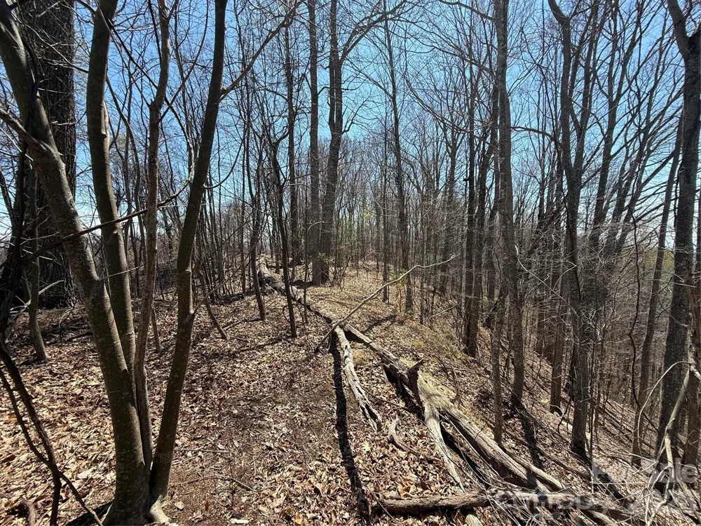 000 Granny Shepherd Road #Lot 3 Mars Hill, NC 28754