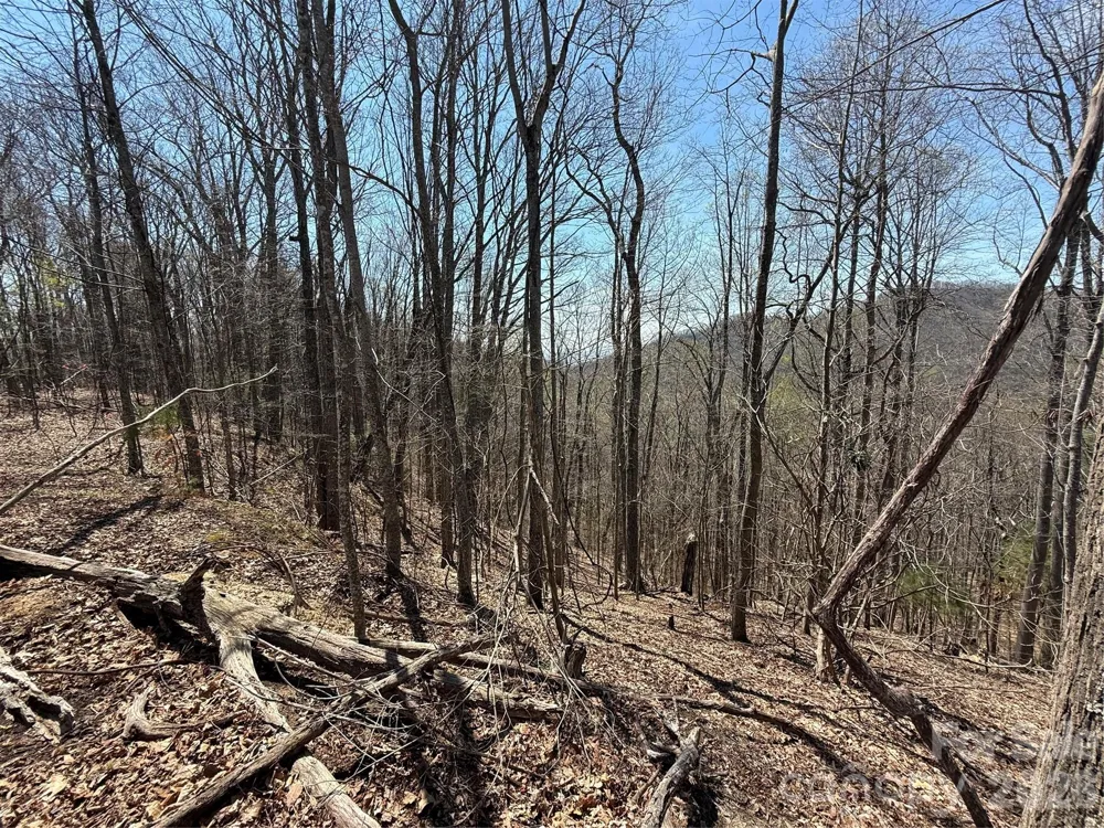 000 Granny Shepherd Road #Lot 3 Mars Hill, NC 28754