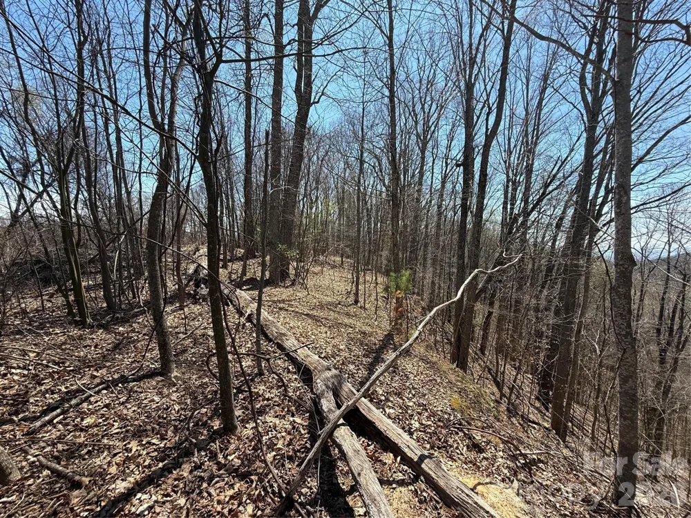 000 Granny Shepherd Road #Lot 3 Mars Hill, NC 28754