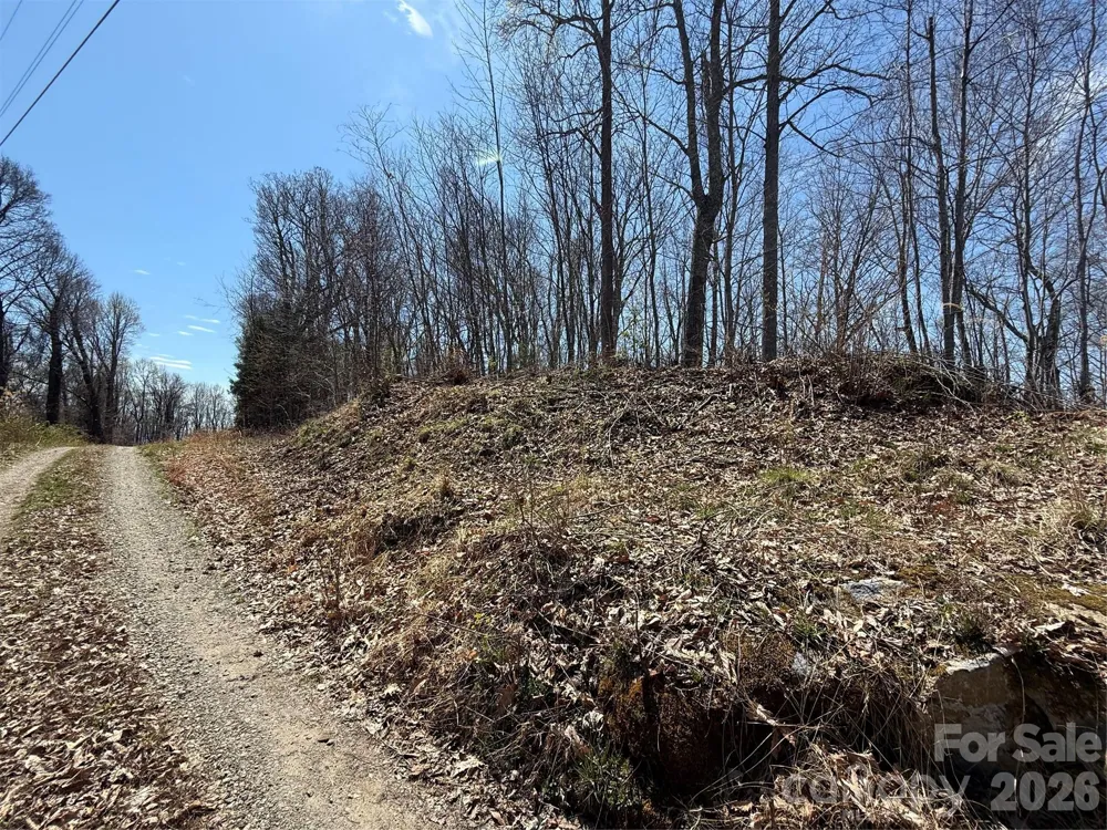 000 Granny Shepherd Road #lot 4 Mars Hill, NC 28754