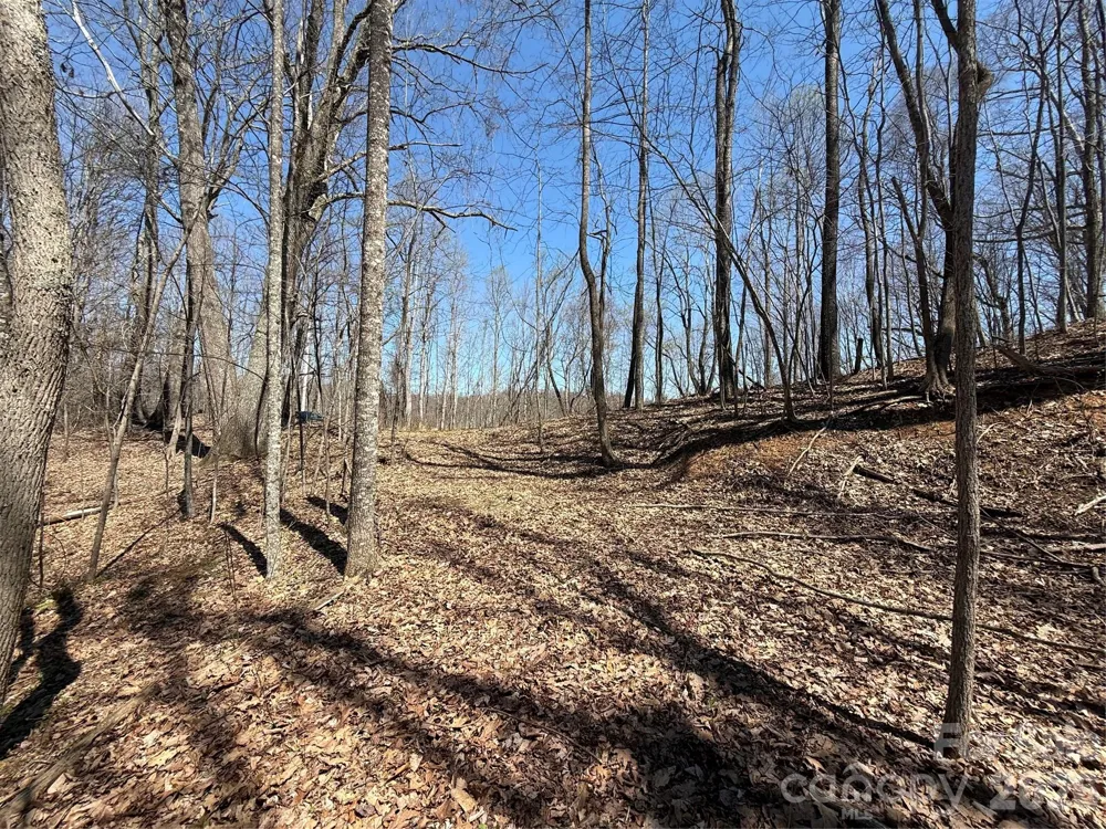 000 Granny Shepherd Road #lot 4 Mars Hill, NC 28754