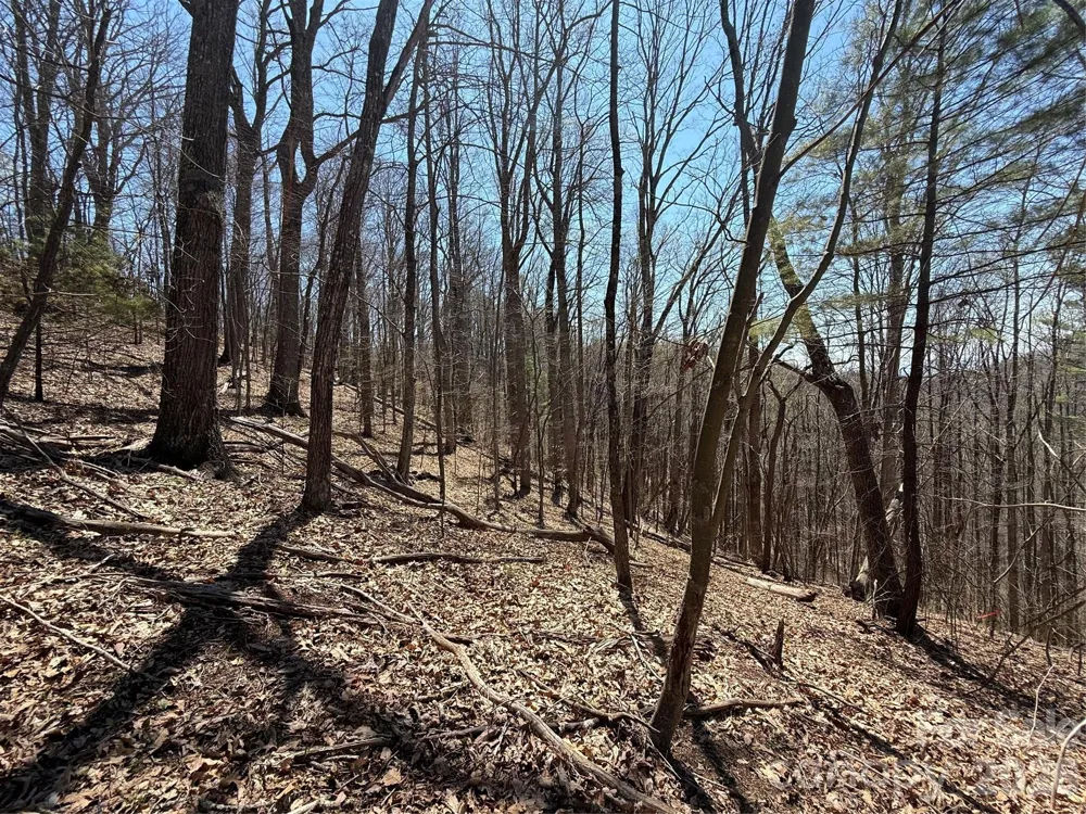 000 Granny Shepherd Road #lot 4 Mars Hill, NC 28754
