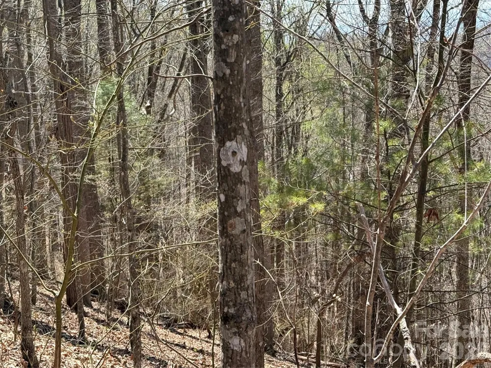 000 Granny Shepherd Road #lot 4 Mars Hill, NC 28754