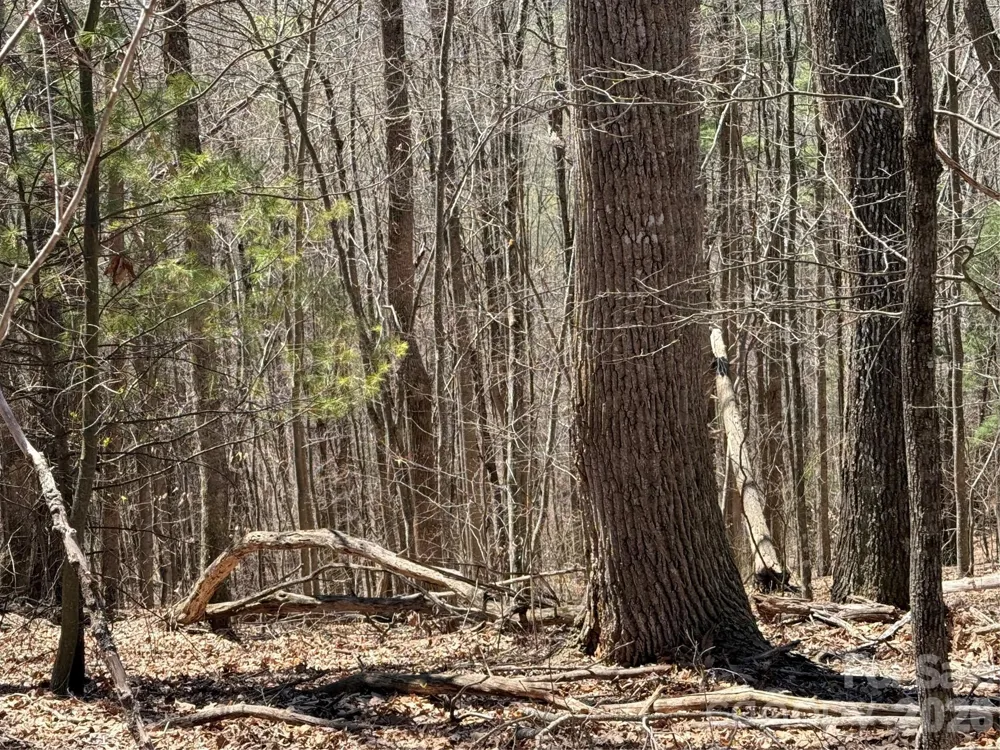 000 Granny Shepherd Road #lot 4 Mars Hill, NC 28754