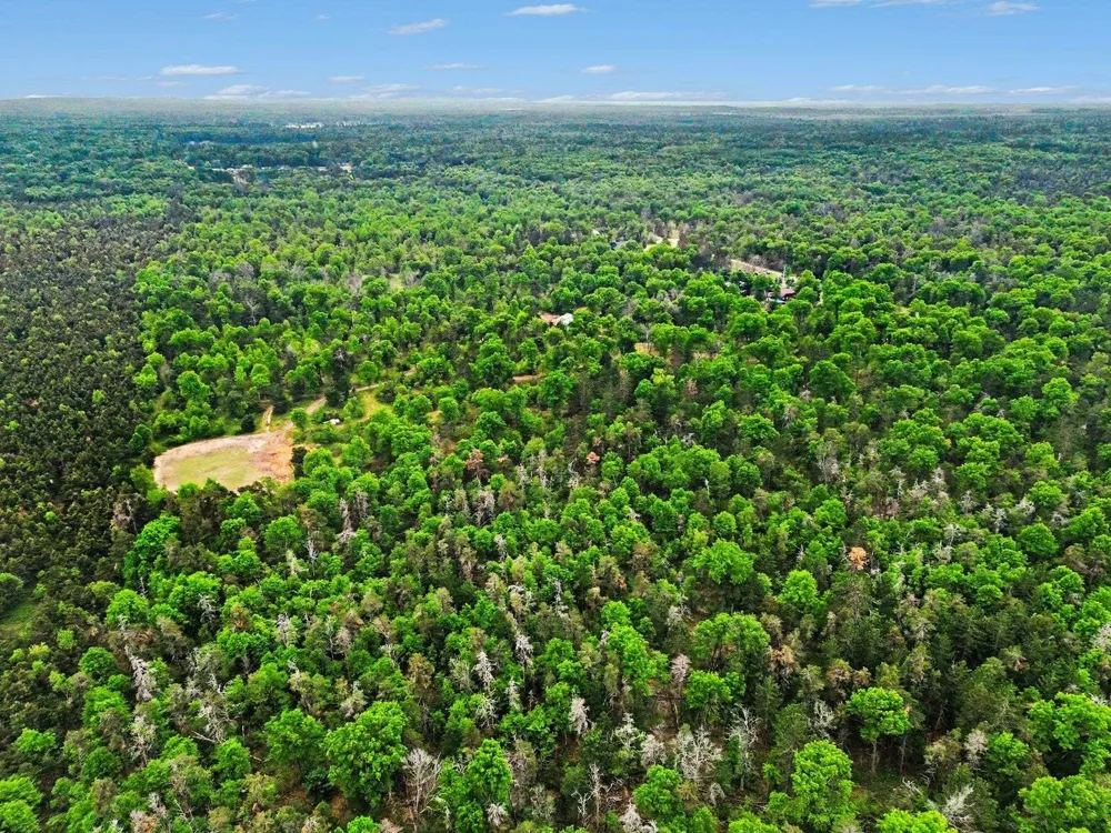 3304 Rabbit Track Drive Foster Township, MI 48661