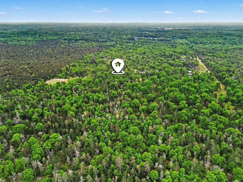 3304 Rabbit Track Drive Foster Township, MI 48661