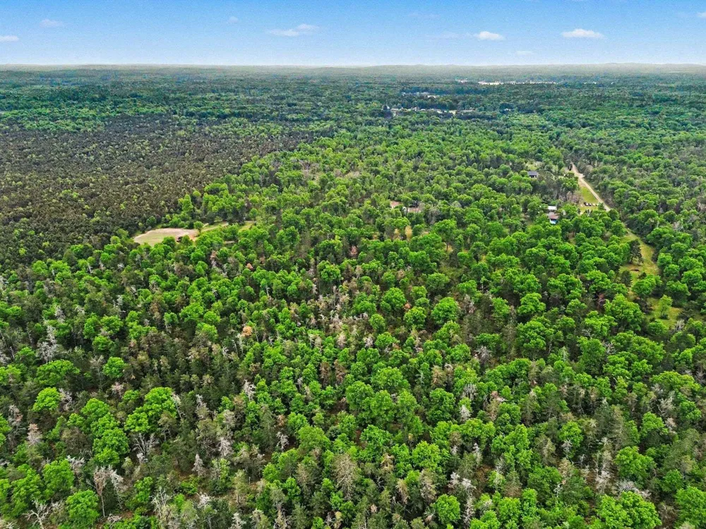 3304 Rabbit Track Drive Foster Township, MI 48661