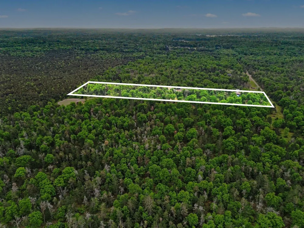 3304 Rabbit Track Drive Foster Township, MI 48661