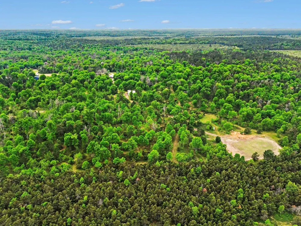 3304 Rabbit Track Drive Foster Township, MI 48661
