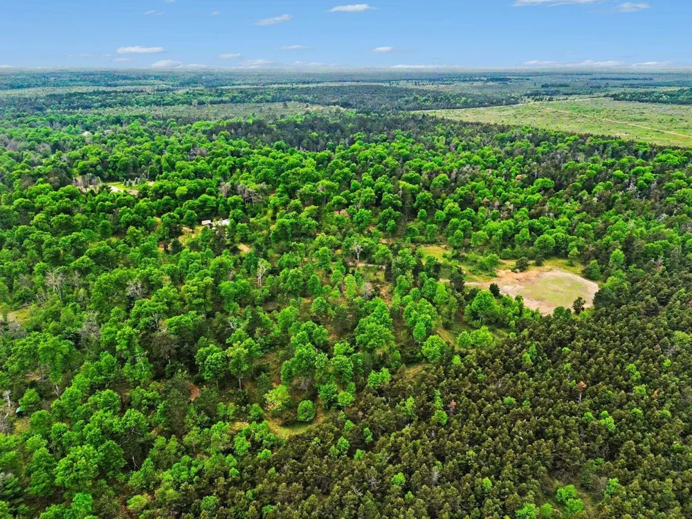 3304 Rabbit Track Drive Foster Township, MI 48661