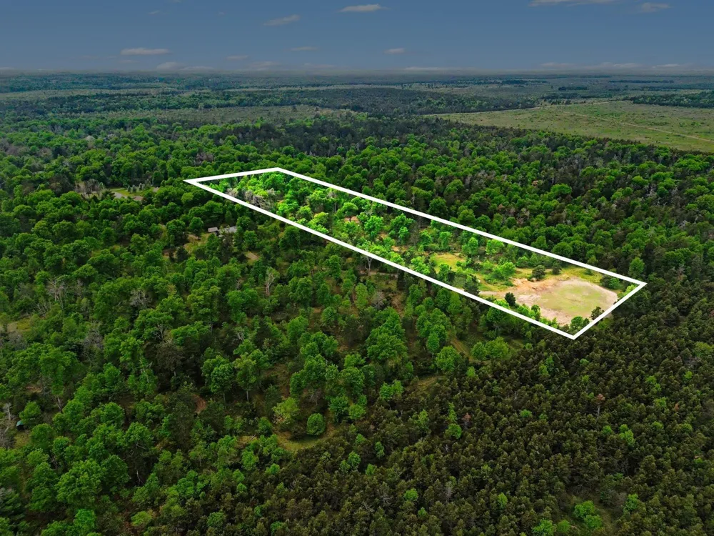 3304 Rabbit Track Drive Foster Township, MI 48661