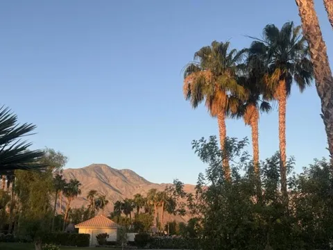 80706 Hermitage