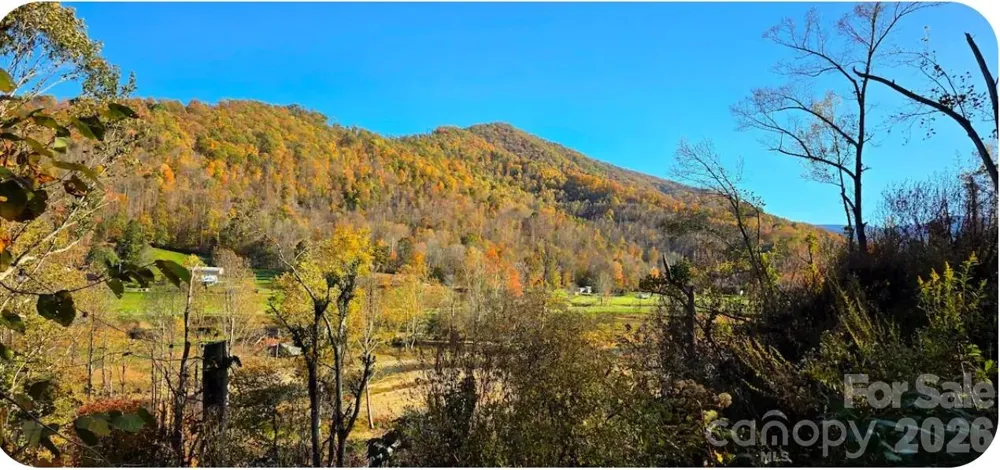 1458 Riverview Road #1 Burnsville, NC 28714