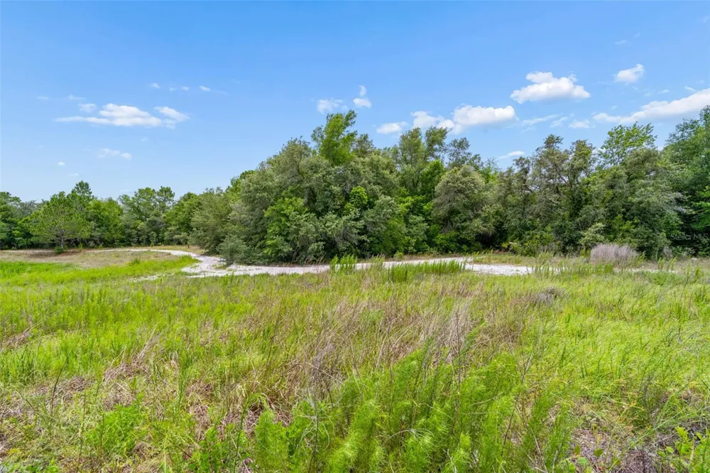 COUNTY LINE ROAD Spring Hill, FL 34610