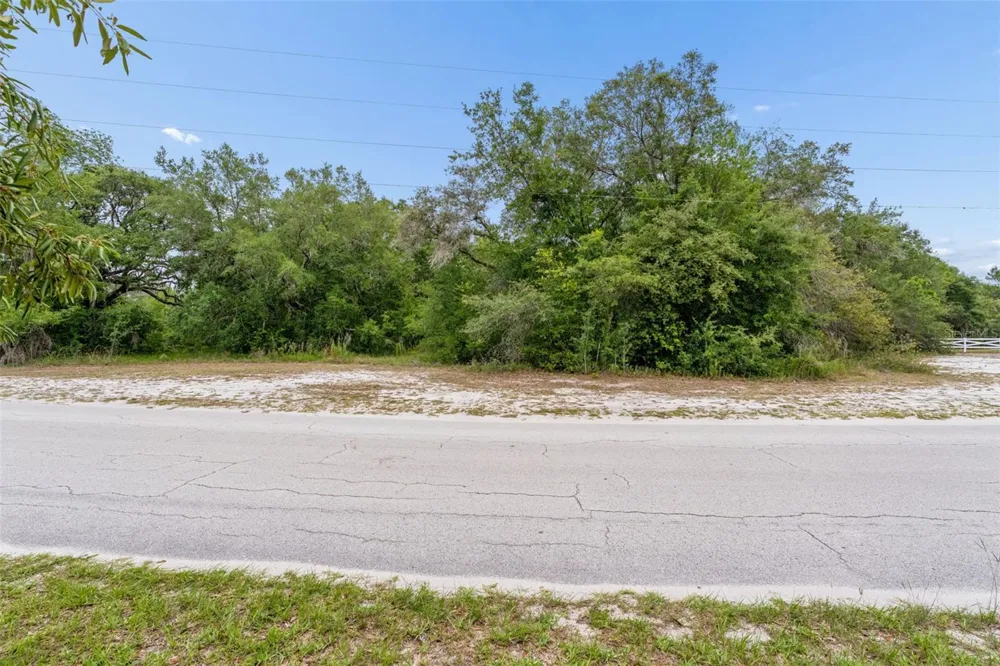 COUNTY LINE ROAD Spring Hill, FL 34610