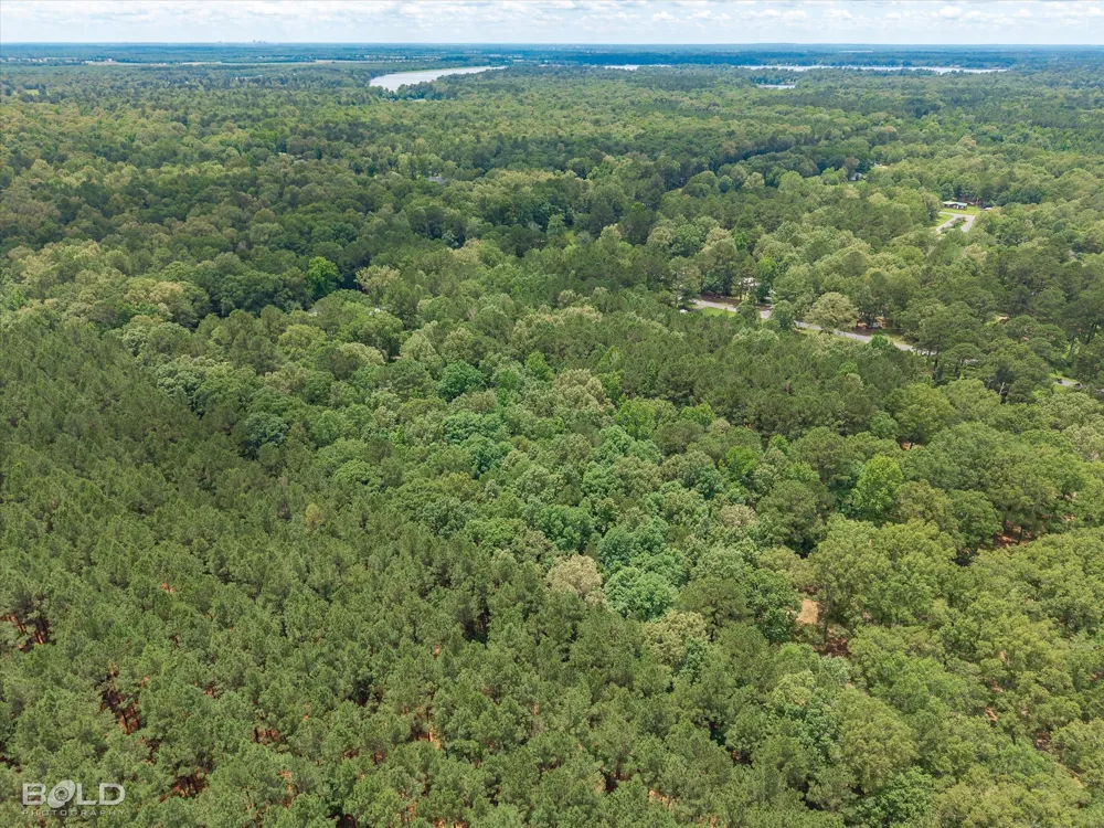 145 Cypress Grove Circle Benton, LA 71006
