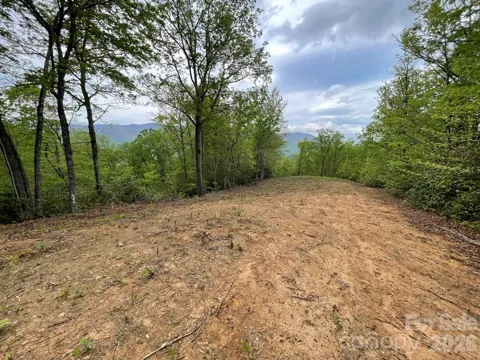 Lot 7 Copperhead Cove