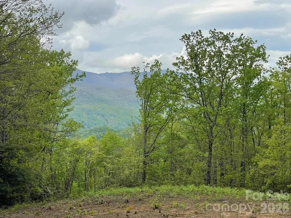 Lot 7 Copperhead Cove Sylva, NC 28779