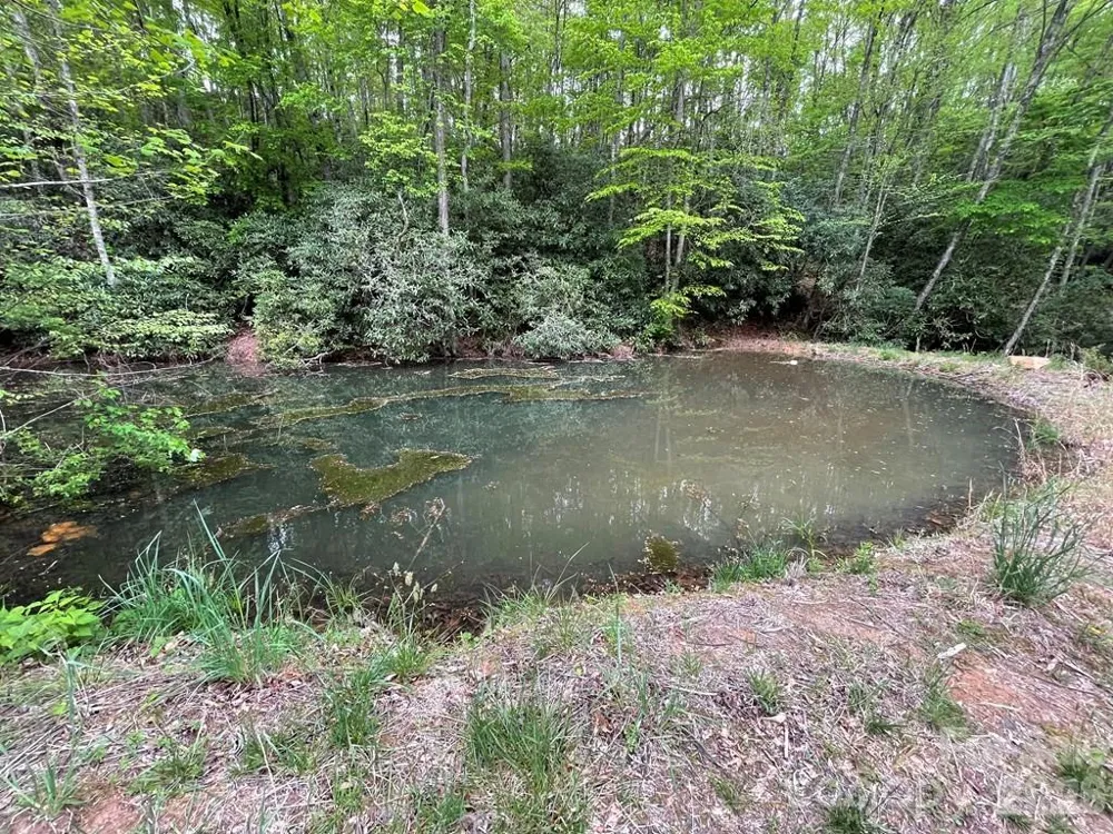 Lot 7 Copperhead Cove Sylva, NC 28779