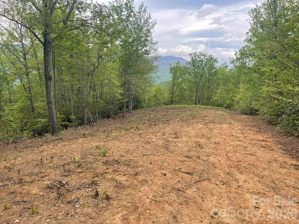Lot 7 Copperhead Cove Sylva, NC 28779