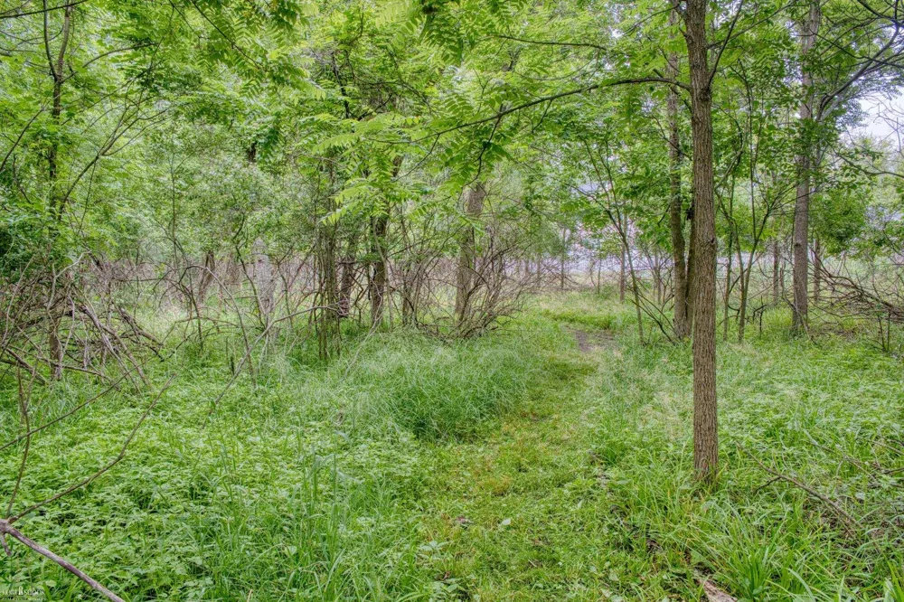 1445 W North Street Owosso City, MI 48867
