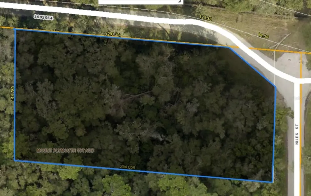 31699 NILES STREET Mount Plymouth, FL 32776
