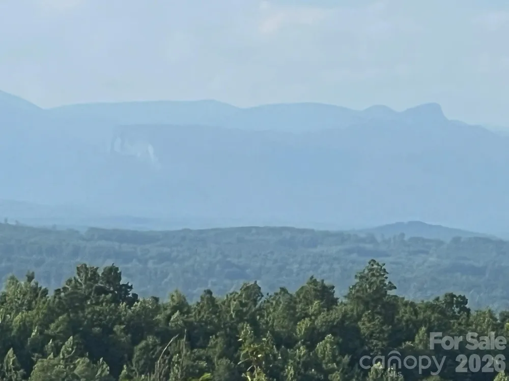 253 Falls Creek Drive Nebo, NC 28761