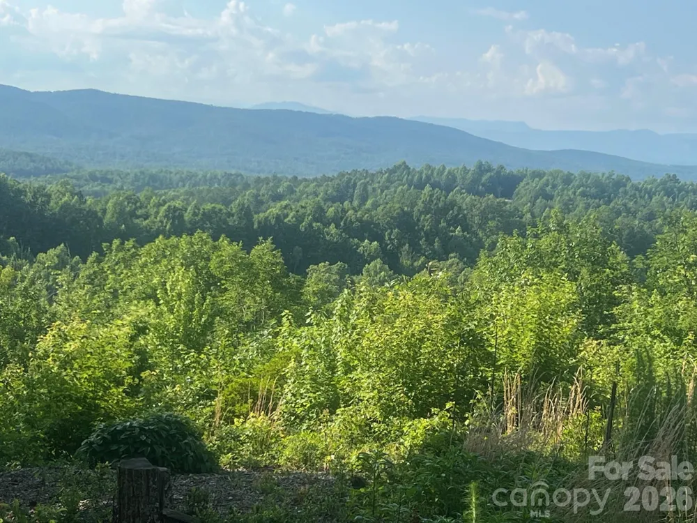 253 Falls Creek Drive Nebo, NC 28761