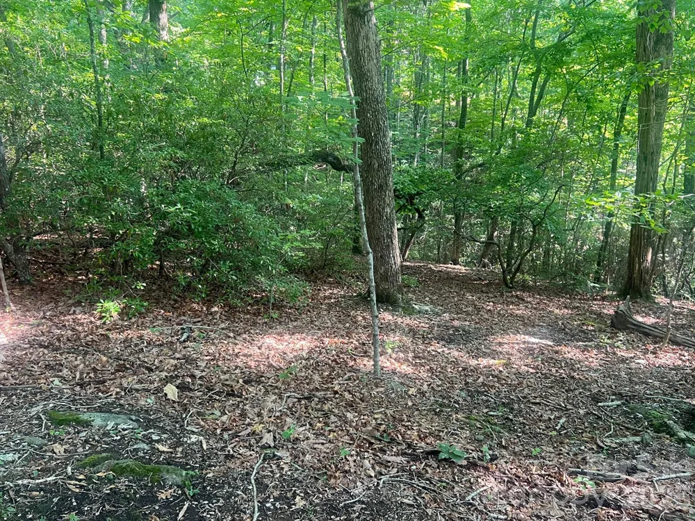 253 Falls Creek Drive Nebo, NC 28761