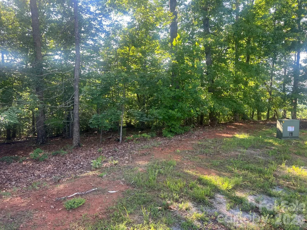 253 Falls Creek Drive Nebo, NC 28761