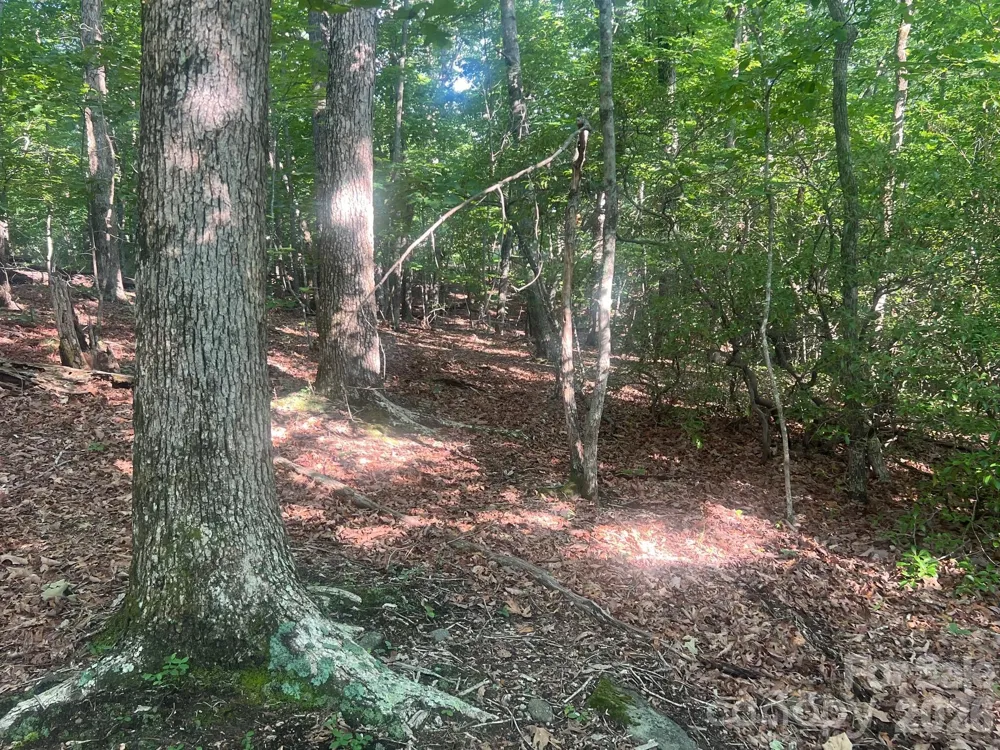 253 Falls Creek Drive Nebo, NC 28761
