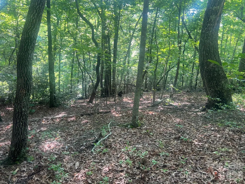 253 Falls Creek Drive Nebo, NC 28761