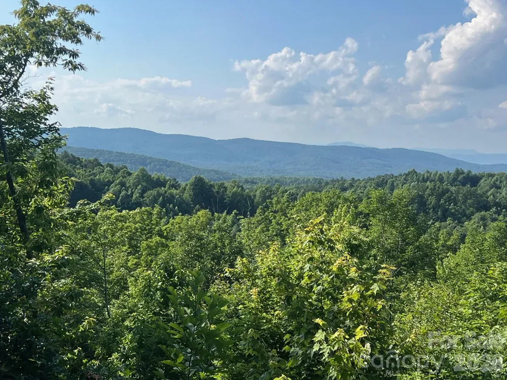 253 Falls Creek Drive Nebo, NC 28761